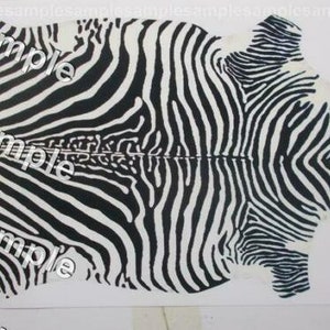 neuer 1/6 maßstabgetreuer Teppich Teppich ZEBRA 15CMX25CM auf Baumwoll-Leinwand