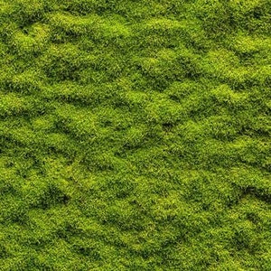 9 BOGEN GEPRÄGTES Grasslandpapier 20 x 28 cm für alle Waagen as28