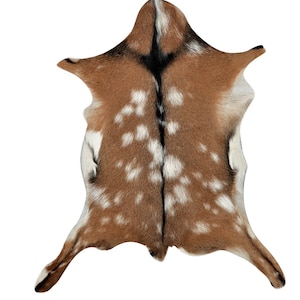 neue 2 Teppiche 1/12 Puppenhaus Naturteppich Teppich Kuh 13cmX14CM auf echter Baumwoll-Leinwand TR5 gedruckt
