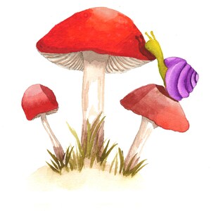 Mushrooms and Snail Watercolor Print