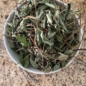 May include: A white bowl filled with dried leaves and twigs. The leaves are a mix of green and brown, and the twigs are brown.