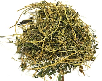 Graines de Cerasee jamaïcain/ Graines de melon amer/ Graines de Karela Bush 14+ graines