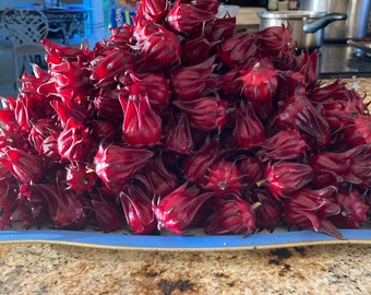 Sorrel seeds /Hibiscus tea /Aqua De Jamaica/ Florida cranberry/ Roselle 40+ seeds