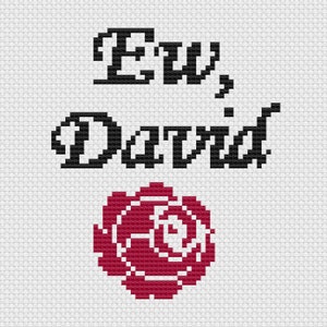 Pode incluir: Um padrão de ponto cruz branco com o texto "Ew, David" em preto e uma rosa vermelha.