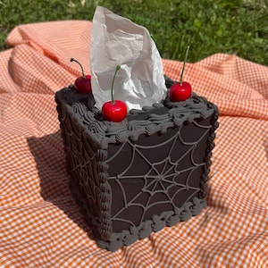 May include: A decorative tissue box with a dark gray spiderweb design. The box is topped with three red cherries and a wad of white tissues. The box sits on an orange and white checkered picnic blanket.