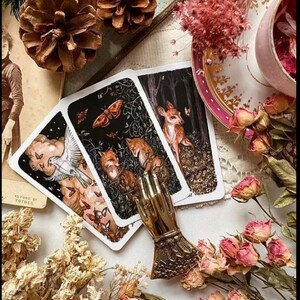 General Tarot Reading