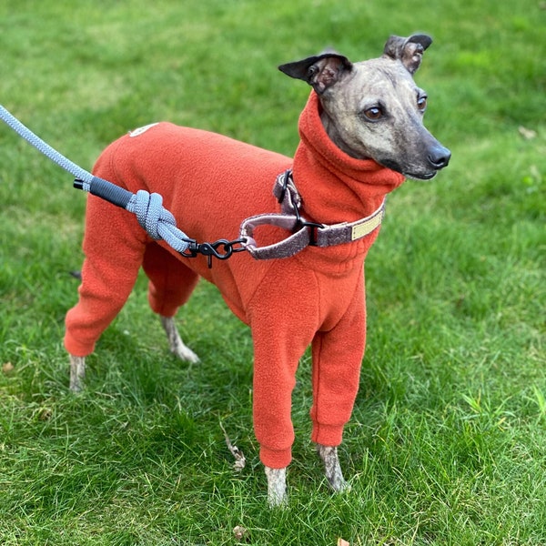 Dog Onesie, Pyjamas, PJ's - Fleece material - The Mevegissy - Personalised Dog Clothing - Italian Greyhound - Whippet - Greyhound - Rust