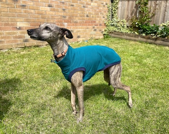 Sighthound Dog Tank Top Jumper, Sweater - French terry material - The Trelissick - Italian Greyhound - Whippet - Greyhound - in Petrol