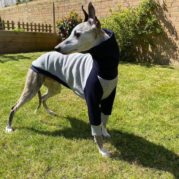 Dog Jumper, Sweater - Matériel sweat-shirt - The St Mawes - Vêtements pour chiens personnalisés - Lévrier italien - Whippet - Greyhound - Gris/Marine