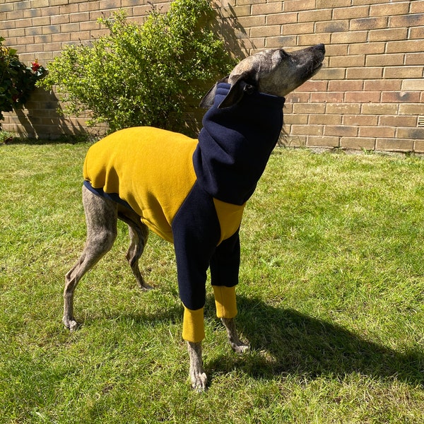 Dog Jumper, Sweater - Sweatshirt material - The St Mawes - Personalised Dog Clothing - Italian Greyhound - Whippet - Greyhound - Ochre/Navy
