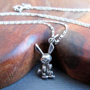 Può includere: Una collana color argento con un piccolo ciondolo a forma di coniglio dettagliato. Il coniglio è seduto con le orecchie dritte. La catena è sottile e il ciondolo è alto circa 2.5 cm.