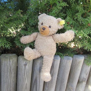 Op de afbeelding: Een beige teddybeer met een bruine snuit en zwarte ogen zit op een houten hek. Het knuffel heeft een geel label op zijn oor en is geplaatst voor een groene struik.