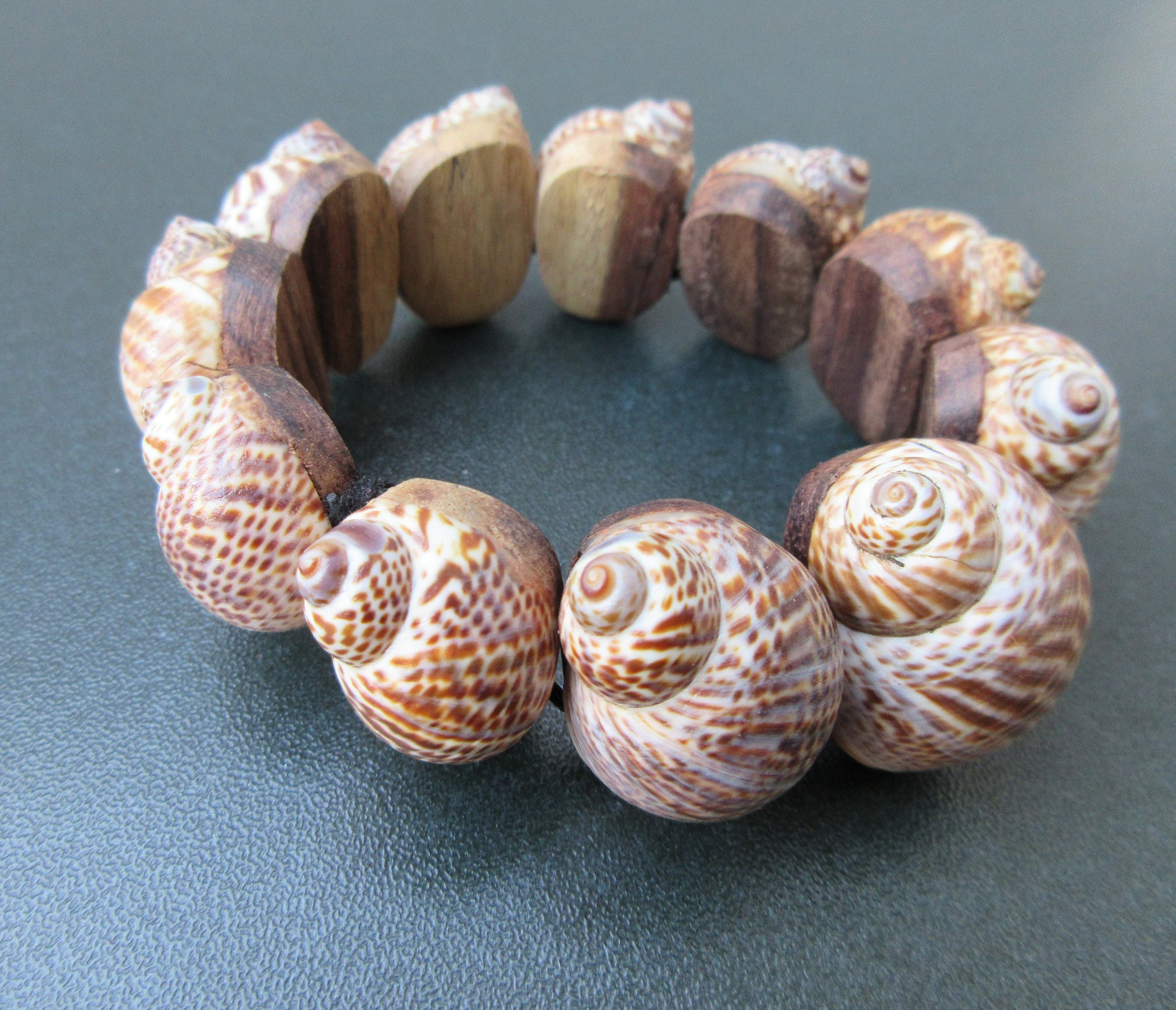 Silver Snail Bracelet – Zoo Jewellery