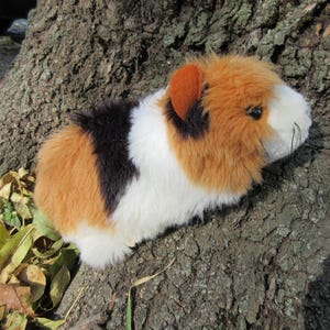 Vintage STEIFF Swinny Guinea Squeaker Pig 23 cm, 071850 ID Button/Flag