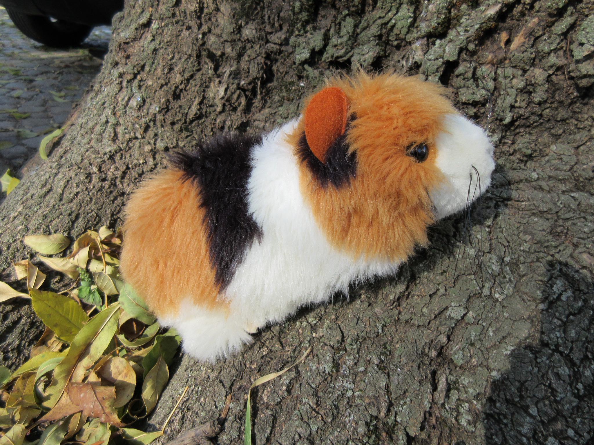 Steiff guinea pig - Etsy 日本