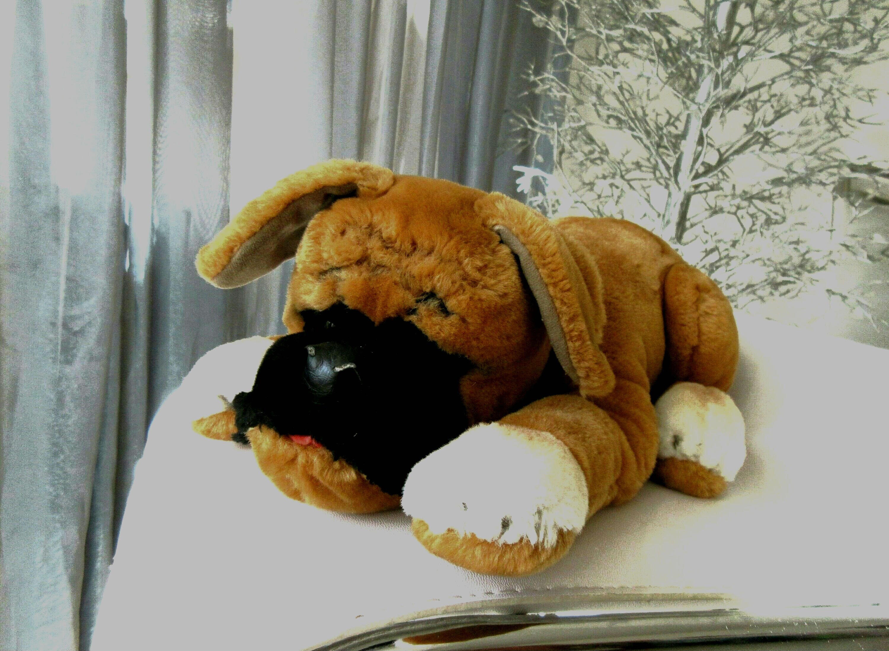 シュタイフ ボクサー犬 ヴィンテージ シュタイフ ボクサー犬 ボビー 横たわる 38 cm