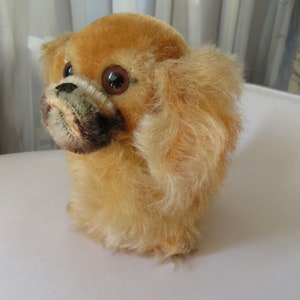 Vintage STEIFF Peky Pekinese Dog: Golden Mohair, Swivel Head, 1950s-60s