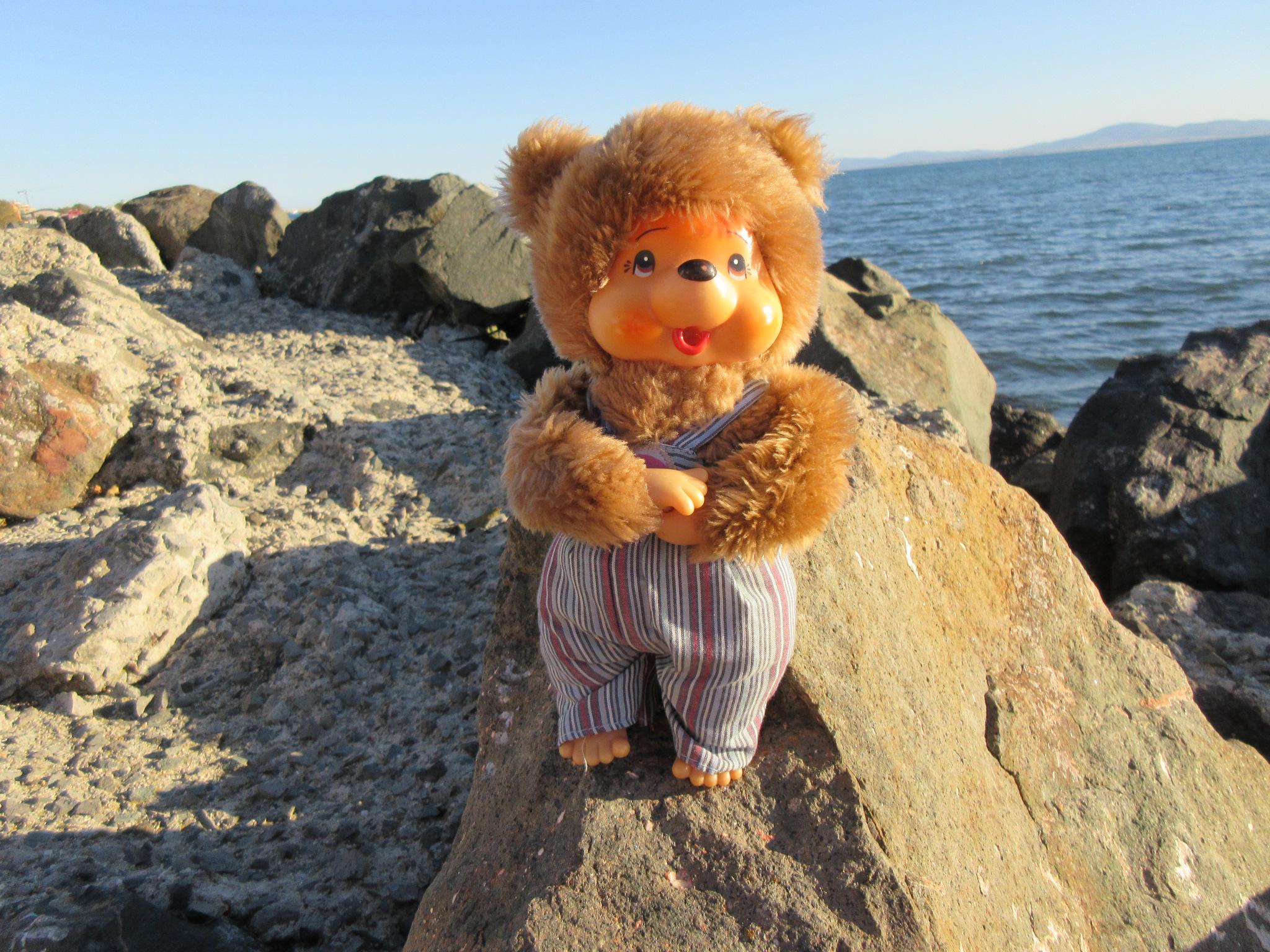 Monchhichi Bear - Etsy