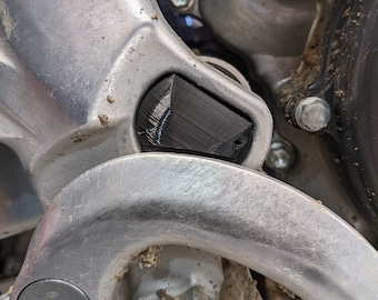 Swing Arm Pivot Plug