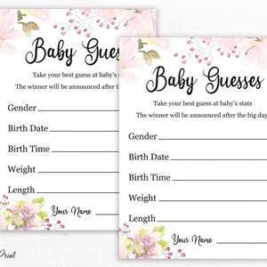 Guess Baby's Birth Stats, Pink Blush Baby Guesses Cards, floral Baby Shower Games, Baby Predictions baby Stats, Baby Prediction Quiz