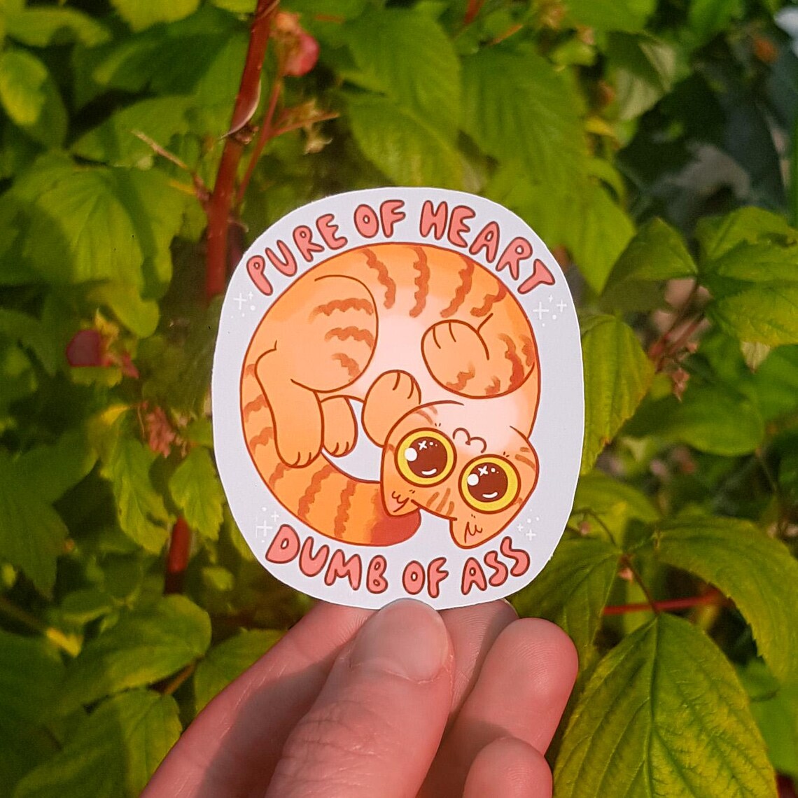 Ginger Tabby Vinyl Sticker "pure of Heart, Dumb of Ass" / Cute Orange ...
