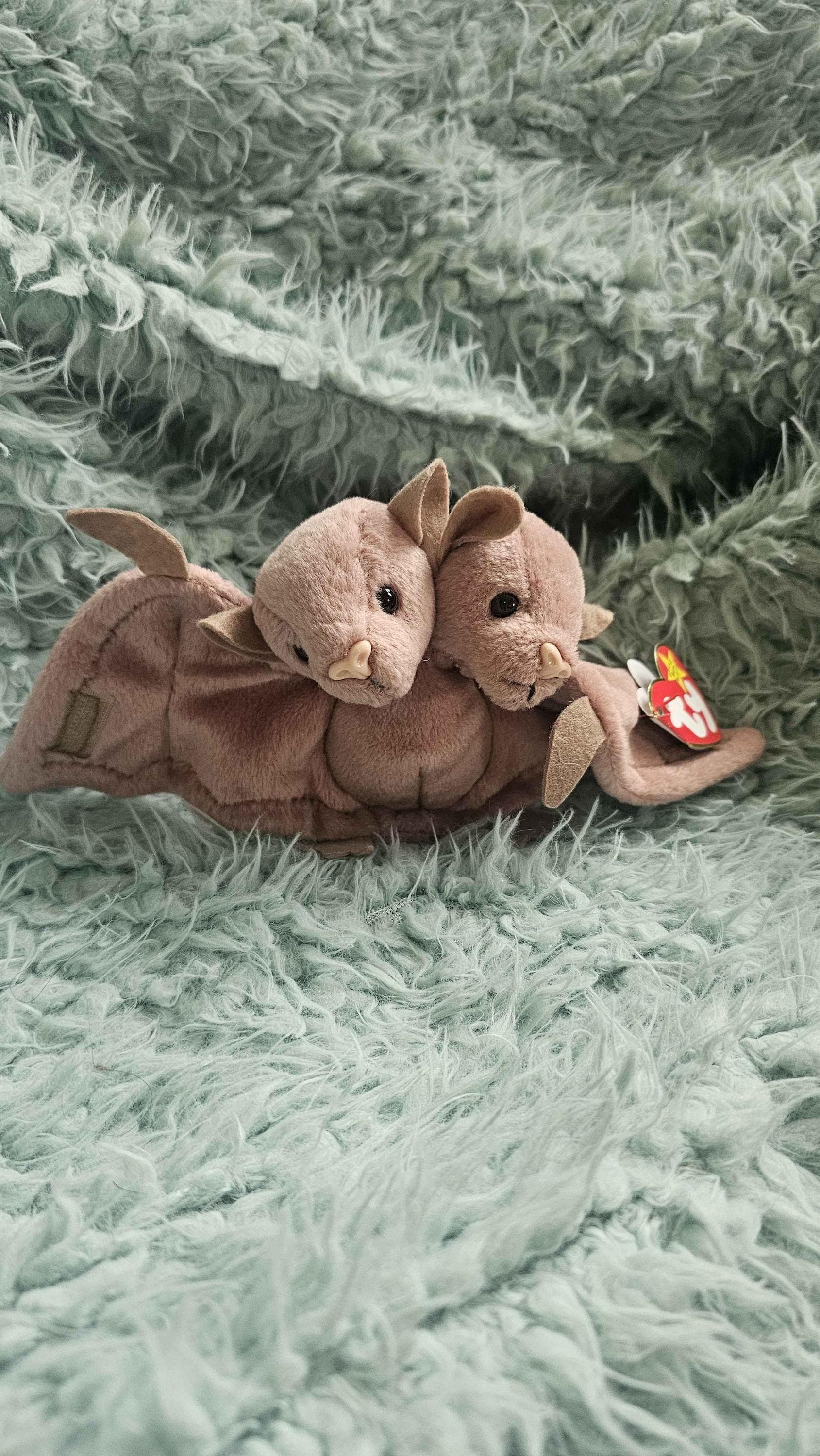 Charlottes Web Plush - Etsy