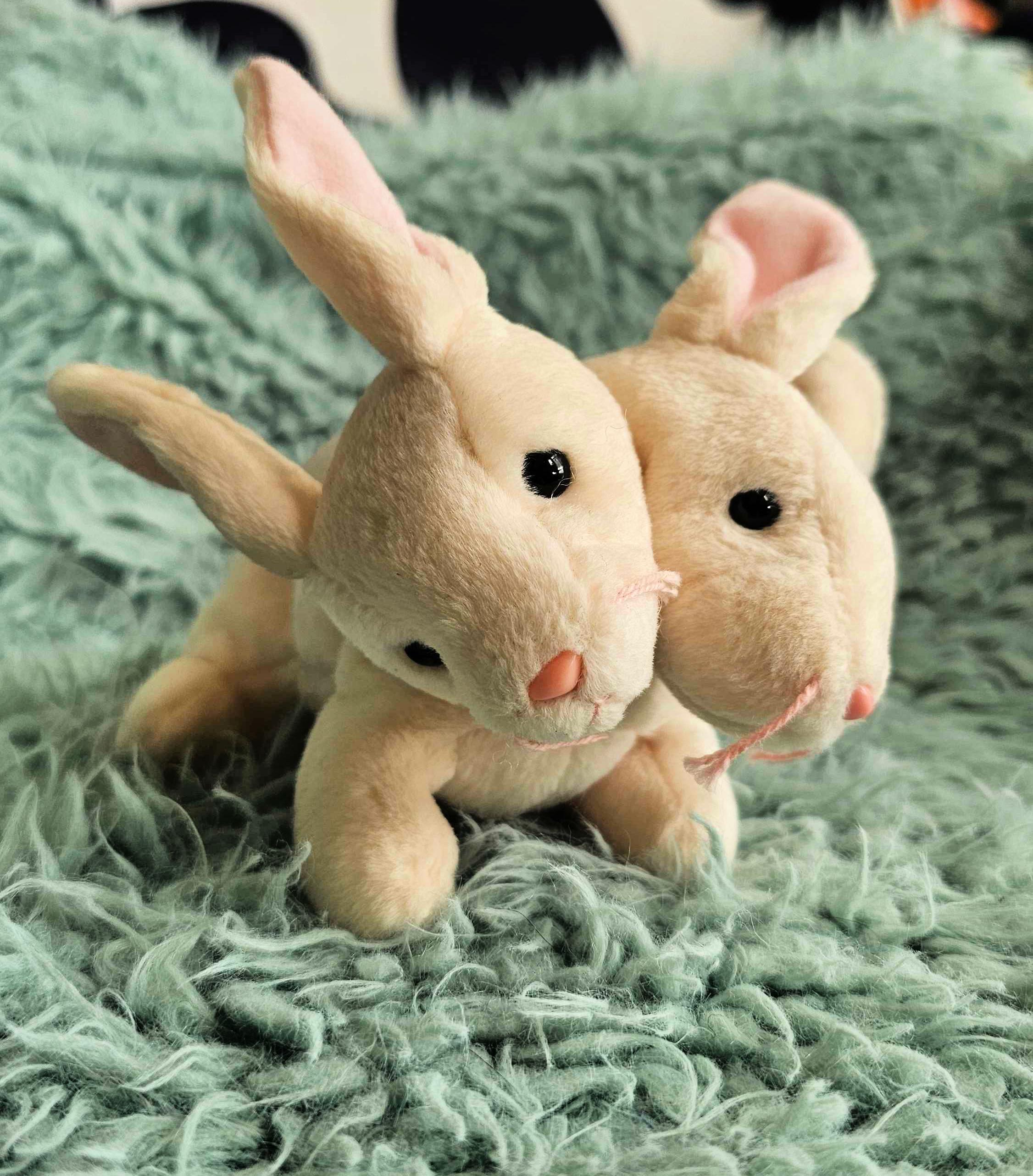 Two Headed Rabbit Plush - Beanie Baby - Etsy