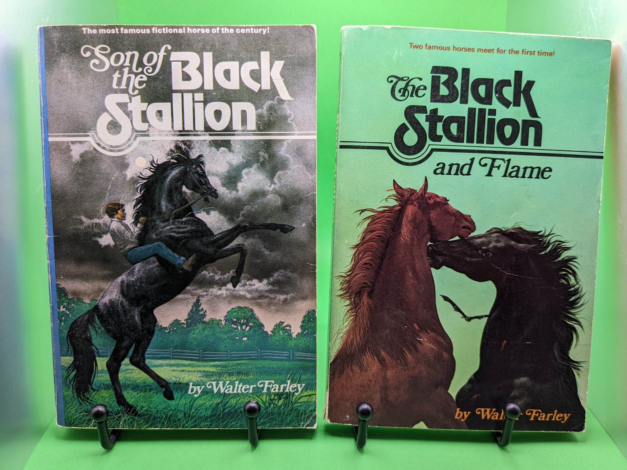 The Black Stallion Series by Walter Farley Pick Your Own Etsy