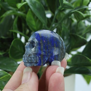May include: A polished, blue skull carving with dark veins. The skull is held in a hand, with a green leafy background. The skull is a decorative item, possibly for home decor or as a unique gift.