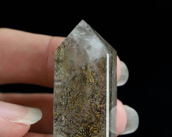 Natural Dendritic Quartz Point, Crystal Tower