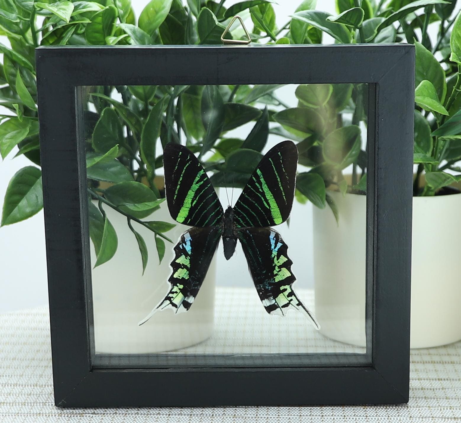 3D Butterfly, Butterfly Wall Art, Butterfly Decor - Etsy