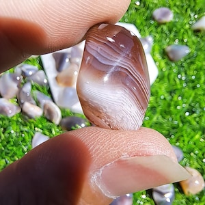 Elegant Natural Botswana Agate Crystal Tumble - Healing Gemstone for Balance and Harmony