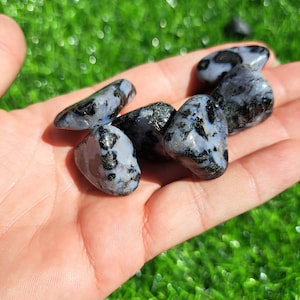 Stunning Indigo Gabbro Crystal Tumbles - Healing Stones for Balance and Protection