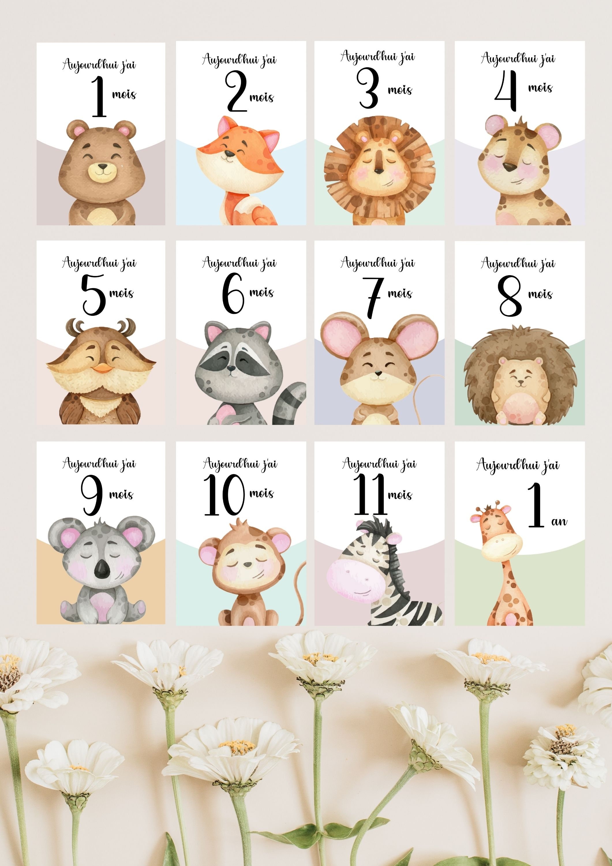 Animals for each month deals