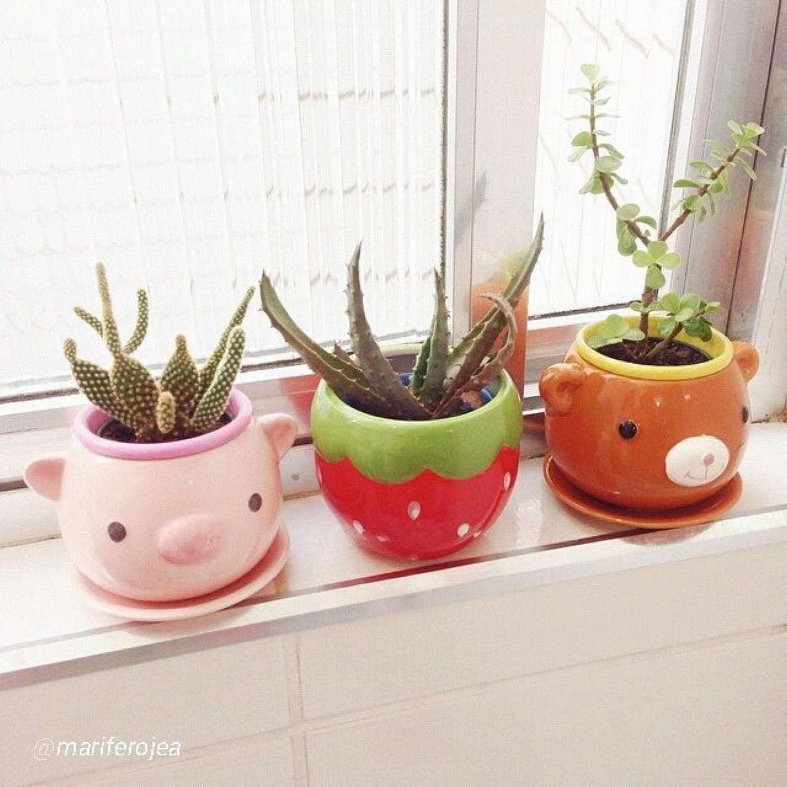 Super Cute Flower Pots add Color To Your Life Cute Pot Decor Etsy