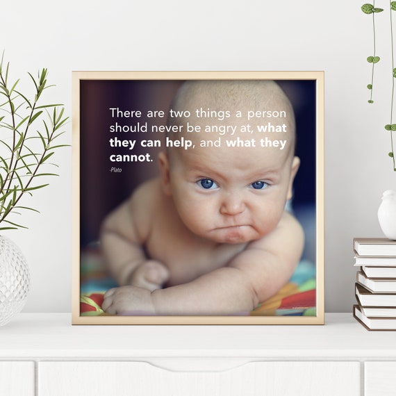 angry babies quotes