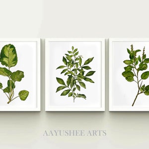 Watercolor Botanical Print Set of 3 Printable Leaves Watercolor Illustration Wall Art Plant Poster Home Decor Gift Instant Digital Download image 1