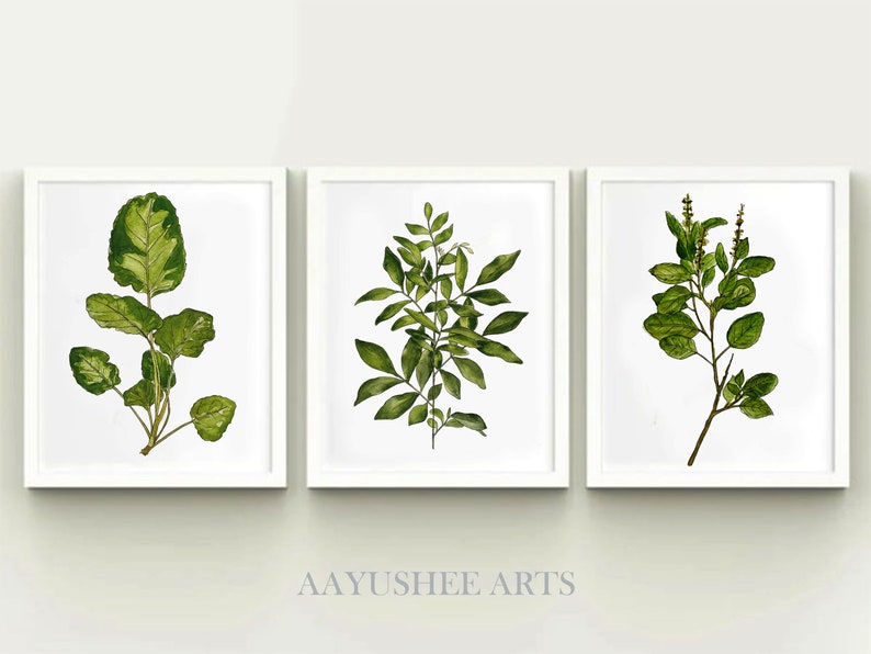 Watercolor Botanical Print Set of 3 Printable Leaves Watercolor Illustration Wall Art Plant Poster Home Decor Gift Instant Digital Download image 1