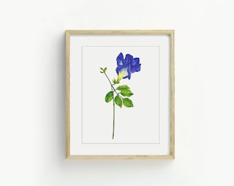 Blue Pea Flower Print, Floral printable wall art, watercolor botanical print, Flower art print Instant Digital download, Home Decor Gift