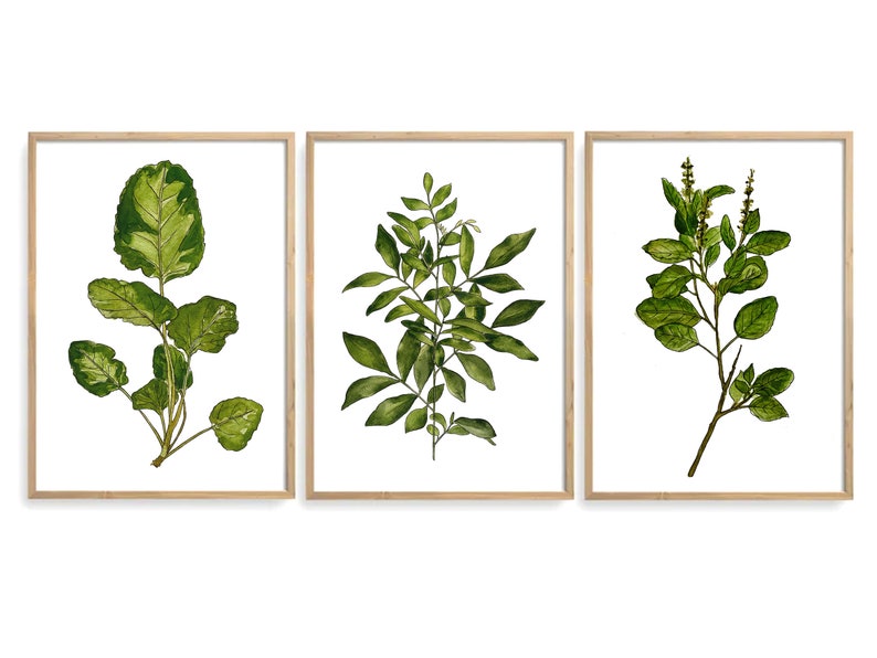 Watercolor Botanical Print Set of 3 Printable Leaves Watercolor Illustration Wall Art Plant Poster Home Decor Gift Instant Digital Download image 5