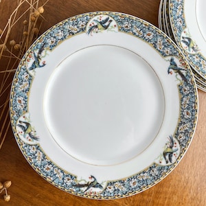 11 Limoges porcelain plates