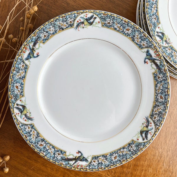 11 assiettes en porcelaine de Limoges