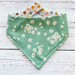 Reversible Bandana: Daisies on Green/Polka Dot BA3