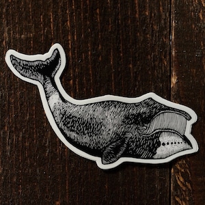 May include: Black and white illustration of a whale with a detailed, textured body. The whale is facing right and has a large, open mouth.