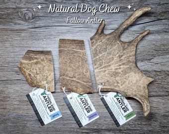 Fallow Deer Antler Natural Dog Chew