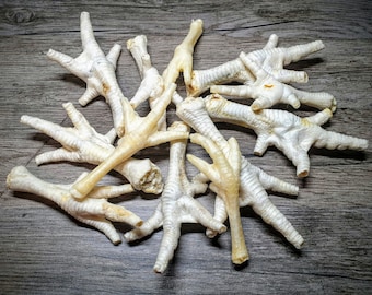 Puffed Chicken Feet - Natural Dog Treat ***Plus A Free Mystery Treat!***