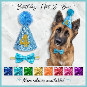 May include: A blue and gold glitter birthday hat with a number 4 on the front and a blue pom-pom on top. A matching blue glitter bow tie is also included. The hat and bow tie are shown on a dog. The image also shows a variety of colours for the hat and bow tie.