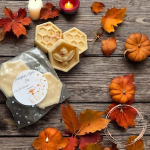 Pumpkin Apple Pie | HIGHLY SCENTED wax melts