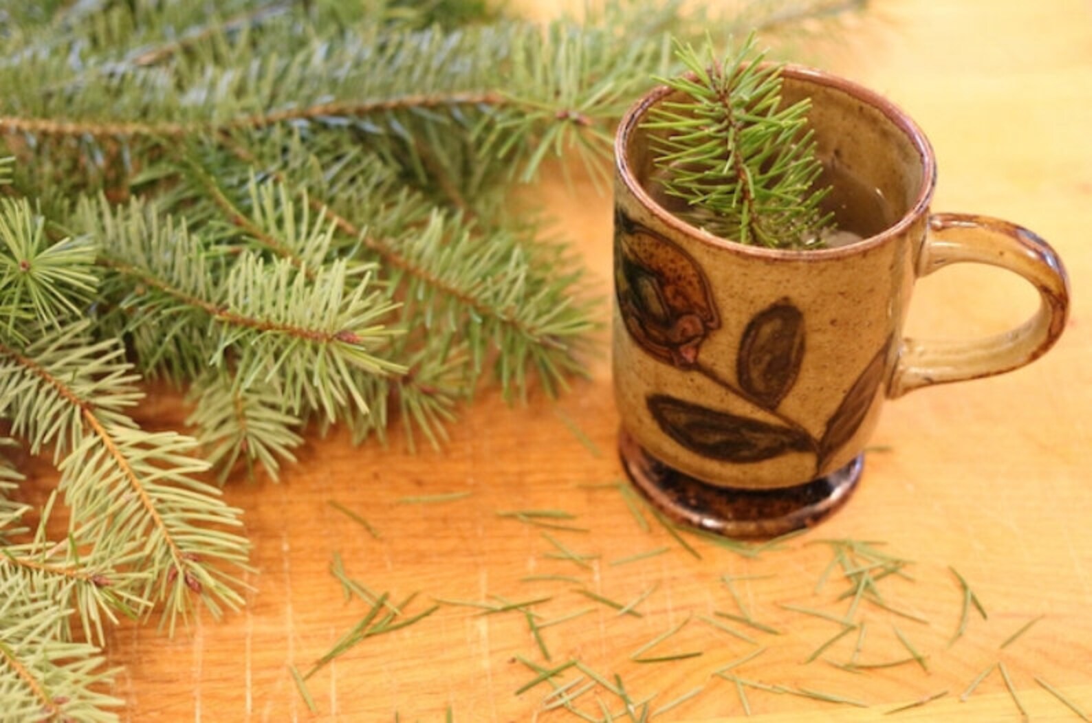 Organic Pine Needle Tea Pine Needles pine Needle Tea white Etsy