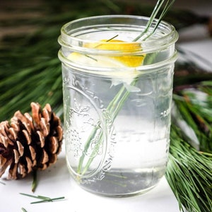 Wild Harvest Fresh Picked Organic Pine Needles for Tea and Extract Making botanical fragrant herbal tea 20g